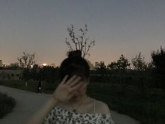 -汉长安城未央宫国家考古遗址公园