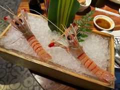 -Mr.Fish鱼鲜生海鲜放题(高德置地冬广场店)