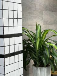 -苏奇发型·烫发染发