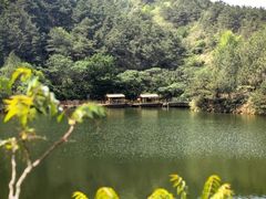 -仙居谷风景区