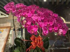 -康逸居·始于2002(海安店)