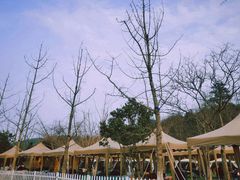 -龙寺生态园