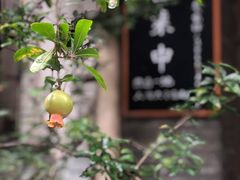 -同福社