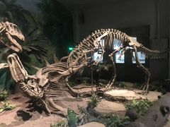 -自贡恐龙博物馆