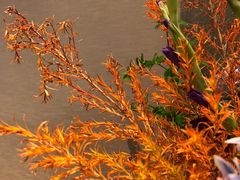 -明州府(文化广场店)