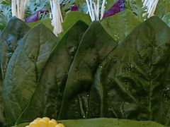 蔬菜大坪-清真军邺·金富苑肥牛(石坡街旗舰店)