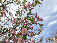 -江宁织造博物馆