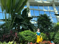 -石家庄市植物园