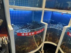 -指爱龙虾(金杨路总店)