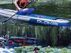 -WhaleSports户外水上运动俱乐部(朝阳公园店)