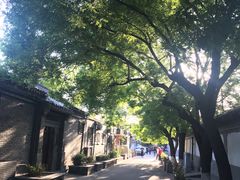 -铃木食堂(帽儿胡同店)