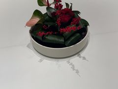 -醉辉皇(桃源π商业广场店)