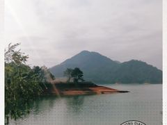 -广州市流溪河国家森林公园