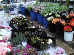 -秦美花卉(天朗·莱茵小城2期店)