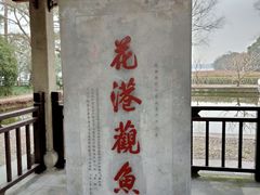 -西湖外事游船(花港观鱼码头)