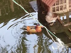 -陈云纪念馆