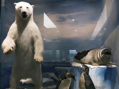 -国家自然博物馆