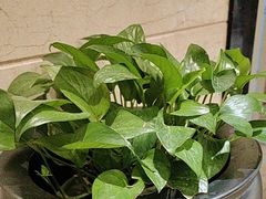 -骏莱海鲜鱼港(五角场店)