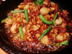 石锅沸腾牛蛙-绿茶餐厅(华联万柳店)