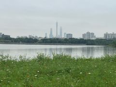 -海珠湖公园