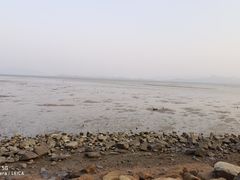 -深圳湾公园(南山区)