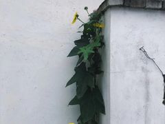 -董寨国家级自然保护区白云保护站