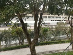 -纪念孙中山市政公园