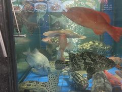 -轩记海鲜餐厅·四十五年老字号·经典粤菜(西区彩虹店)