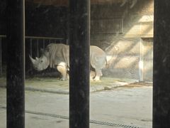 -鄂尔多斯野生动物园