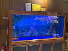 -阿春传统老菜馆(民航路店)