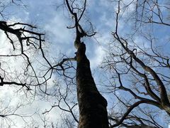 -江南大学(蠡湖校区)