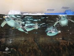 -成都浩海立方海洋公园