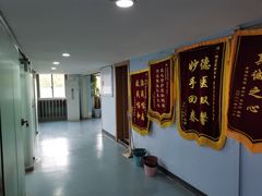 -甄爱宠物医院(疏影路店)