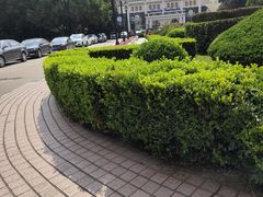 -老外街
