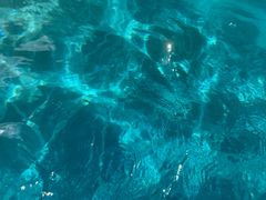 -杭州浪浪浪水公园