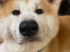-YCHL Studios健身工作室(市二宫店)