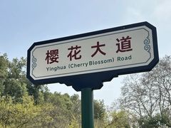 -武汉大学-樱园