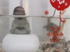 -手舒·采耳按摩·影院足道spa(莫愁湖东路店)