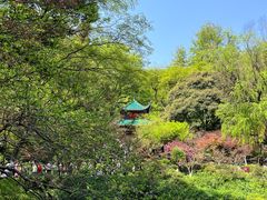 -岳麓山风景名胜区