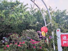 -名花谷生态庄园