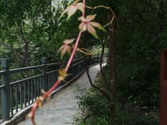 -黑龙潭风景区