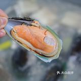 ㊙️餐厅级蘸汁の宅家自嗨来顿海鲜牛羊涮锅✔️