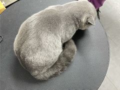 -宠颐生宠物医院外科·内科·皮肤科·影像科(石龙店)