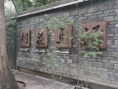 -泡桐树街