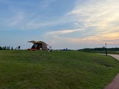 -春花秋色城市公园