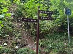 -重庆彩云湖湿地公园