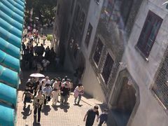 -武汉大学-樱园