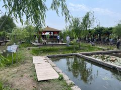 -同銮特种养殖场·龙虾垂钓