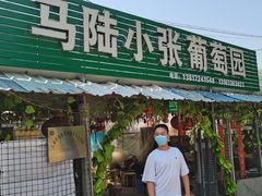 -马陆小张葡萄园农家乐