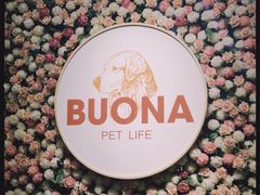 -百好乐宠物友好餐厅(朝外大街店)